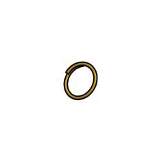 Walterscheid® Ring 806-15 – 8005412
