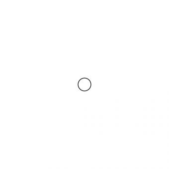 Walterscheid® Ball 5/16-3 - 1099601