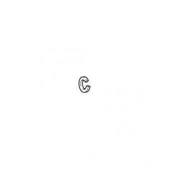 Spring ring B16 – 8004377