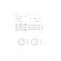 morepic-1