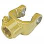 morepic-1