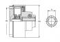 morepic-2
