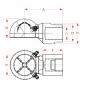 morepic-2