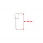 morepic-4