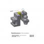 morepic-4